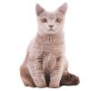 3D Simulation Cat Plush Pillow for Cat Scratch Toy or Sofa Decor Cushion