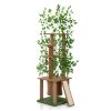 Cat Tree with Artificial Leaves, Cat Condo and Scratching Post