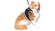USB Rechargeable Pet Tracking Device Mini Portable Tracker GPS for Dog Size:M