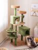 Multi-level Cactus Cat Tree with Scratching Posts Ladder Double Condos and Toys Bed