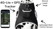 USB Rechargeable Pet Tracking Device Mini Portable Tracker GPS for Dog Size:M
