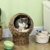 20" Natural Braided Elevated Cat Bed, Cat Basket Kitten House Chair Sofa With Cushion, Dark Brown